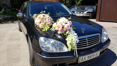 Mercedes-Benz W220